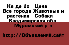 Ка де бо › Цена ­ 25 - Все города Животные и растения » Собаки   . Владимирская обл.,Муромский р-н